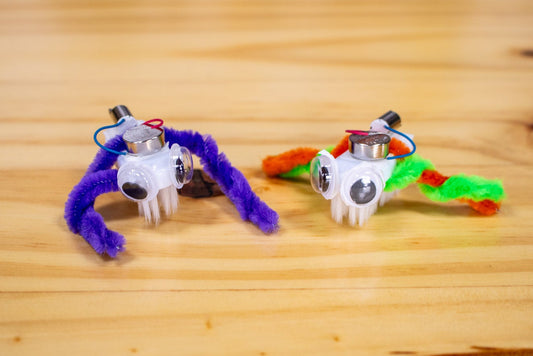 Bristlebot STEM Learning Kit