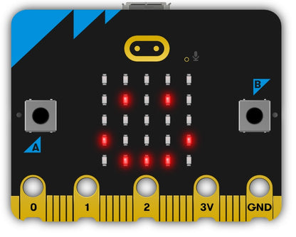 micro:bit v2 Go Bundle
