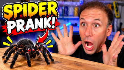 SpiderBot for use with Bristlebot