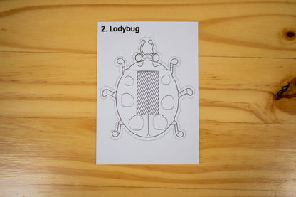 Solar Bug Classroom Pack-25 Solar bugs