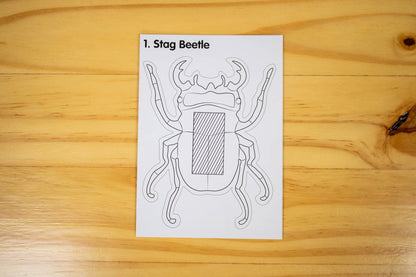 Solar Bug Classroom Pack-25 Solar bugs